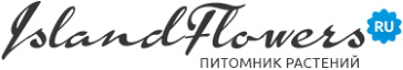 Цветочный остров